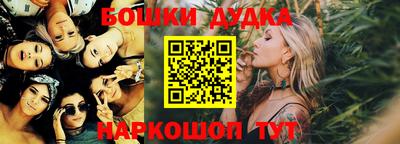 индика Рузаевка