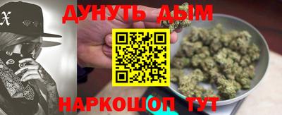 индика Рузаевка