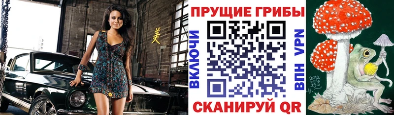 кракен маркетплейс  цены наркотик  Тихвин  Галлюциногенные грибы Magic Shrooms 