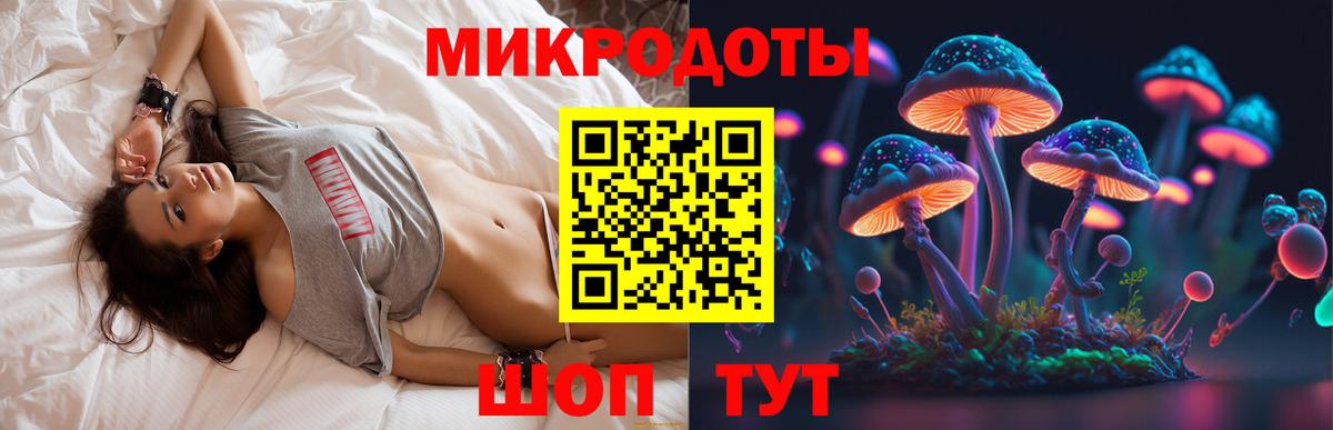 Тихвин  Псилоцибиновые грибы Cubensis  Вход с VPN 
